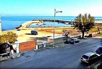 Gabbiano 3*