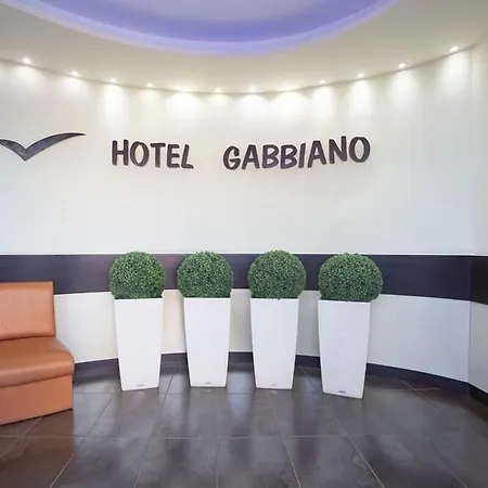 Gabbiano