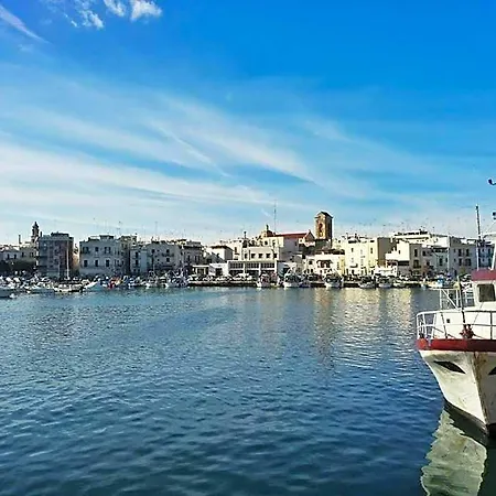 Gabbiano