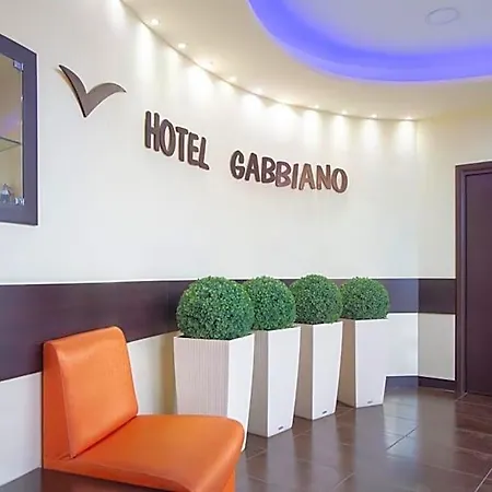 Gabbiano Mola di Bari