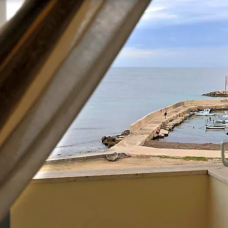 Gabbiano Mola di Bari