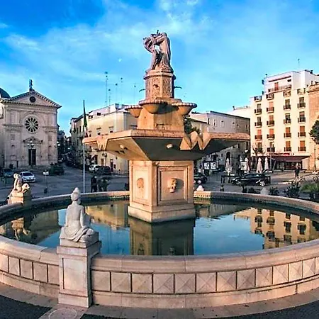 Gabbiano Mola di Bari