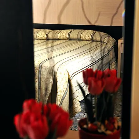 Gabbiano Mola di Bari