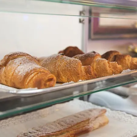 Gabbiano 몰라디바리