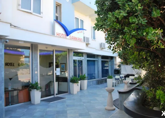 Gabbiano Mola di Bari