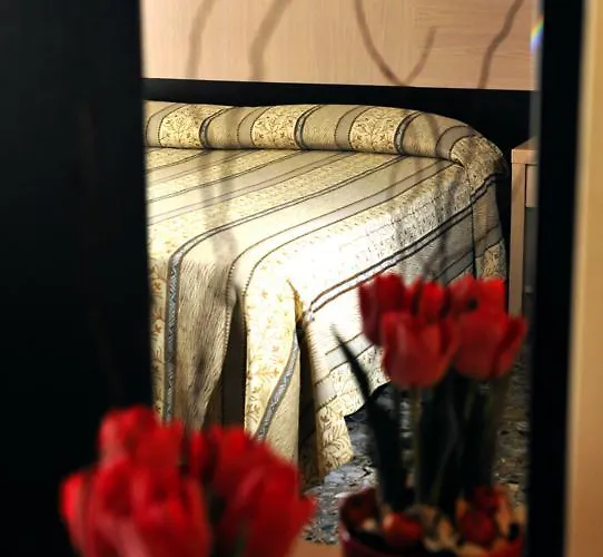 Gabbiano מולה די בארי